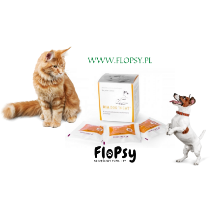 DIADOG & CAT - 1 tabletka. Na Biegunkę, Pies i Kot, Tabletki łagodzące zaburzenia jelitowe